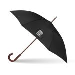 Foldable Umbrella - Image 2